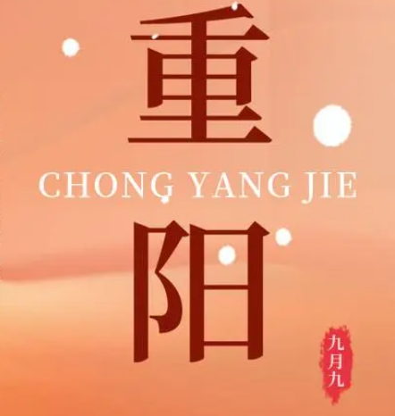 广州南沙沥心沙大桥被船只撞断  --  亚游国际物流
