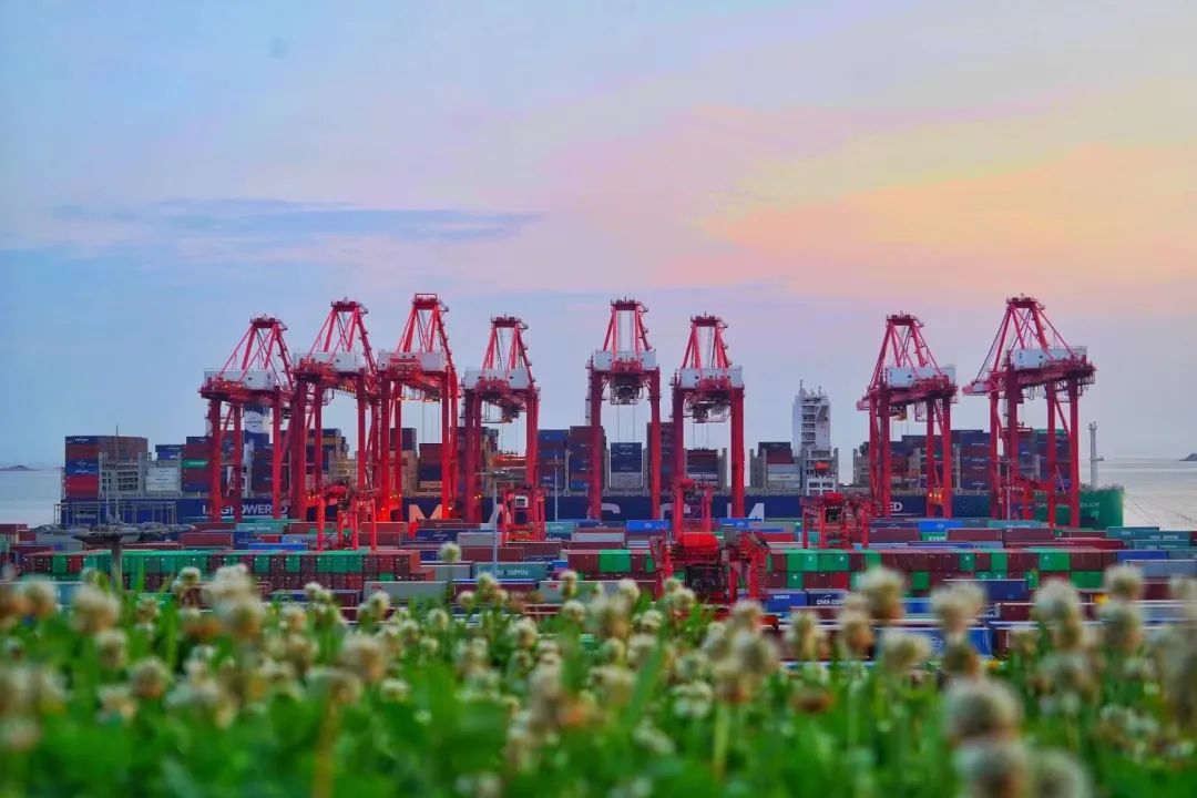 集装箱海运中什么是“外堆场”  --  亚游国际物流