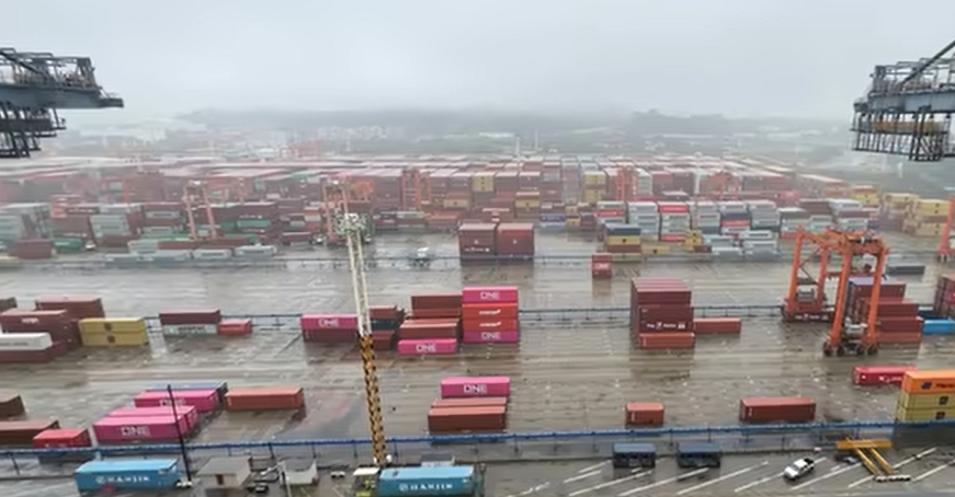 冷藏集装箱海运运输服务提升  --  亚游国际物流