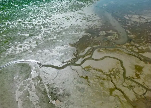 宁波港沿海航道因大雾交通管制  --  亚游国际物流